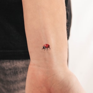 Tatuaggio Temporaneo Coccinella (Set di 3)