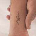 Fine Line Snake Temporary Tattoo By Jakenowicz (Set of 3) product logo