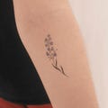 Forget-me-not Temporary Tattoo By Lena Fedchenko (Set of 3) product logo