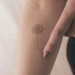 Fine Line Gänseblümchen temporäres Tattoo (3er Set)
