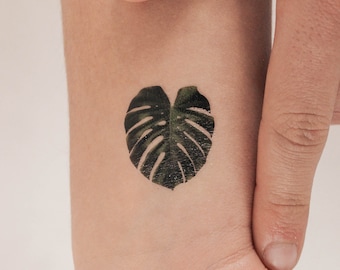 てち 超希少 本物 モンステラ デリシオーサ タトゥー