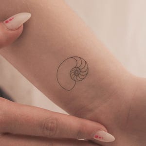 Tatuaggio temporaneo conchiglia Nautilus (set di 3)