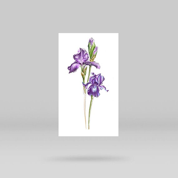 Iris Flower Temporary Tattoo By Mini Lau Set Of 3