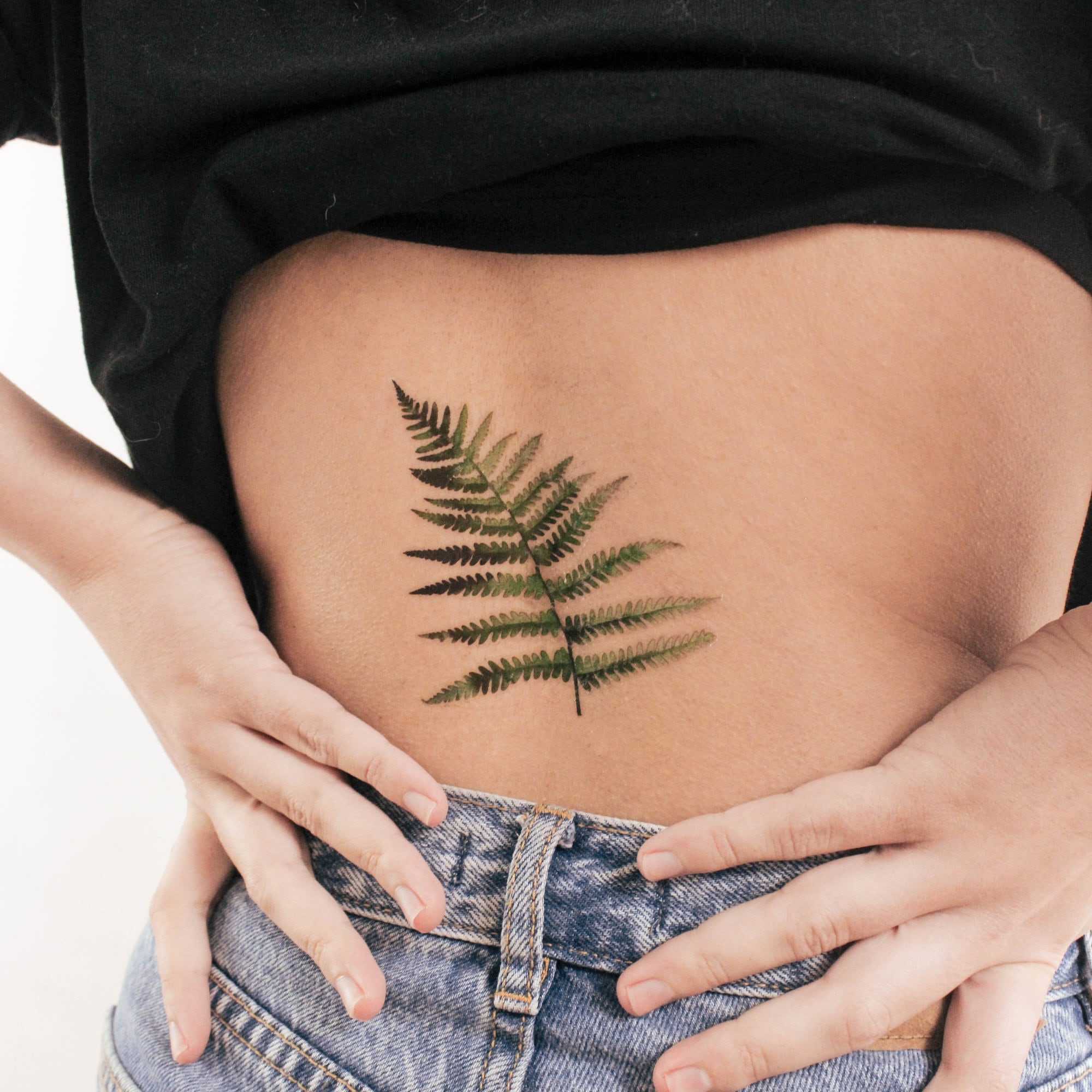 Fern Frond That Grows With You