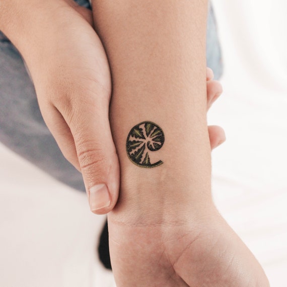 Ancient Fern Spiral for Growth