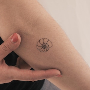 Puede incluir: Un tatuaje sencillo de una concha de nautilus dibujado con líneas finas en el brazo de una persona.