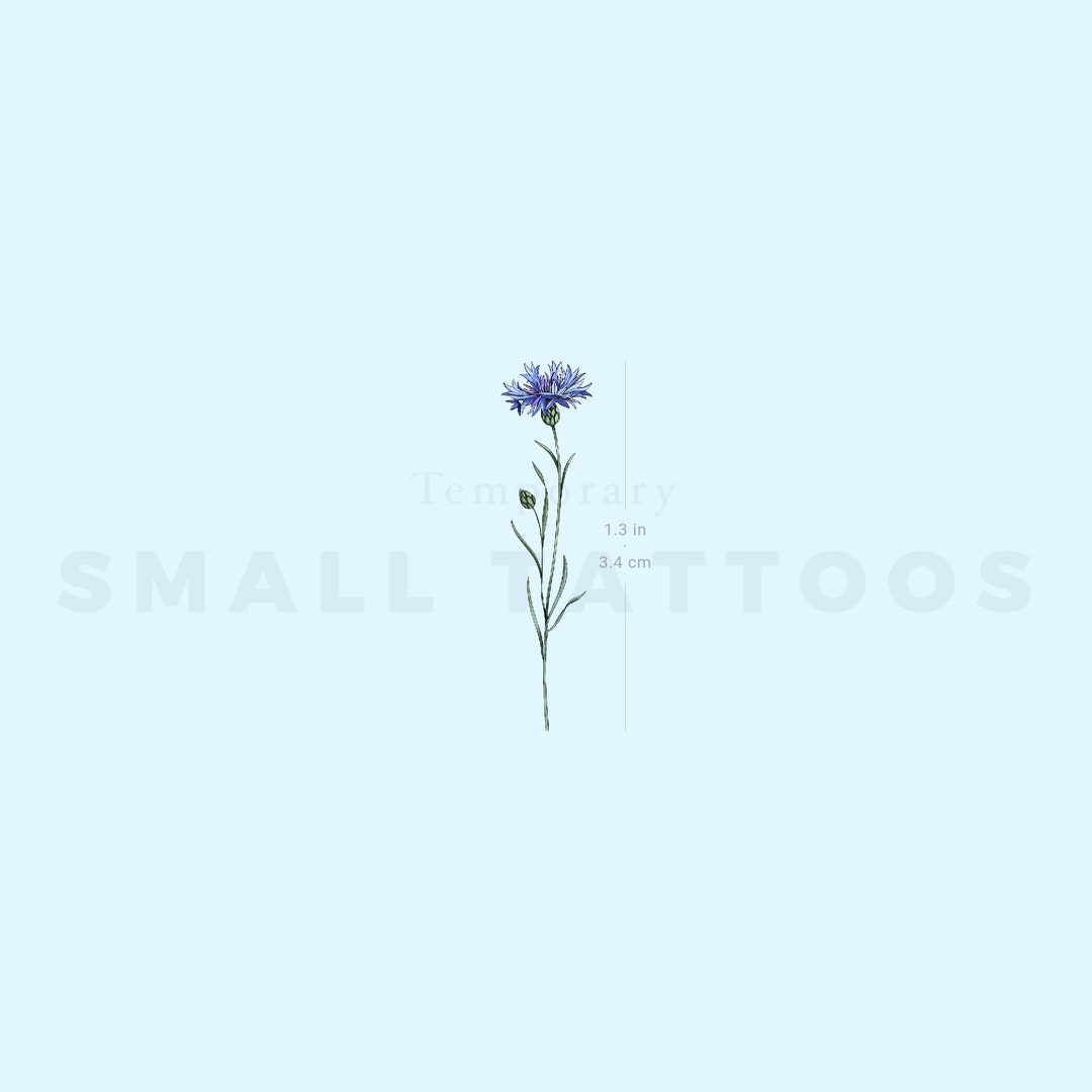 Cornflowers A special piece for my lovely client today. Thank you so much  for the trust 🩵 #tattoo #ottawaartist #ottawa #ottawatattoo… | Instagram