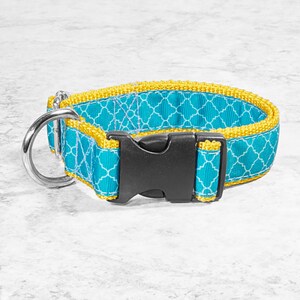 May include: A turquoise and yellow dog collar with a geometric pattern and a silver buckle.