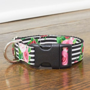 CLEARANCE Floral With Black And White Stripe Extra Large Sized 1 Inch Dog Collar With Black Backing