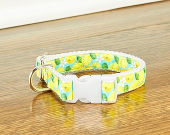 Lemons and Blossoms With Blue Background 3/4 Inch Dog Collar with Gray, Teal or White Backing