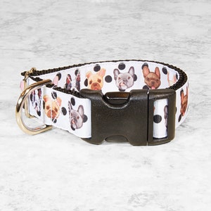 CLEARANCE French Bulldog Frenchie With Polka Dots 1 Inch Dog Collar With Black Backing