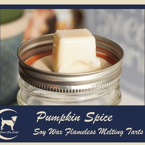 Pumpkin Spice Vegan Soy Wax Flameless Melting Tarts