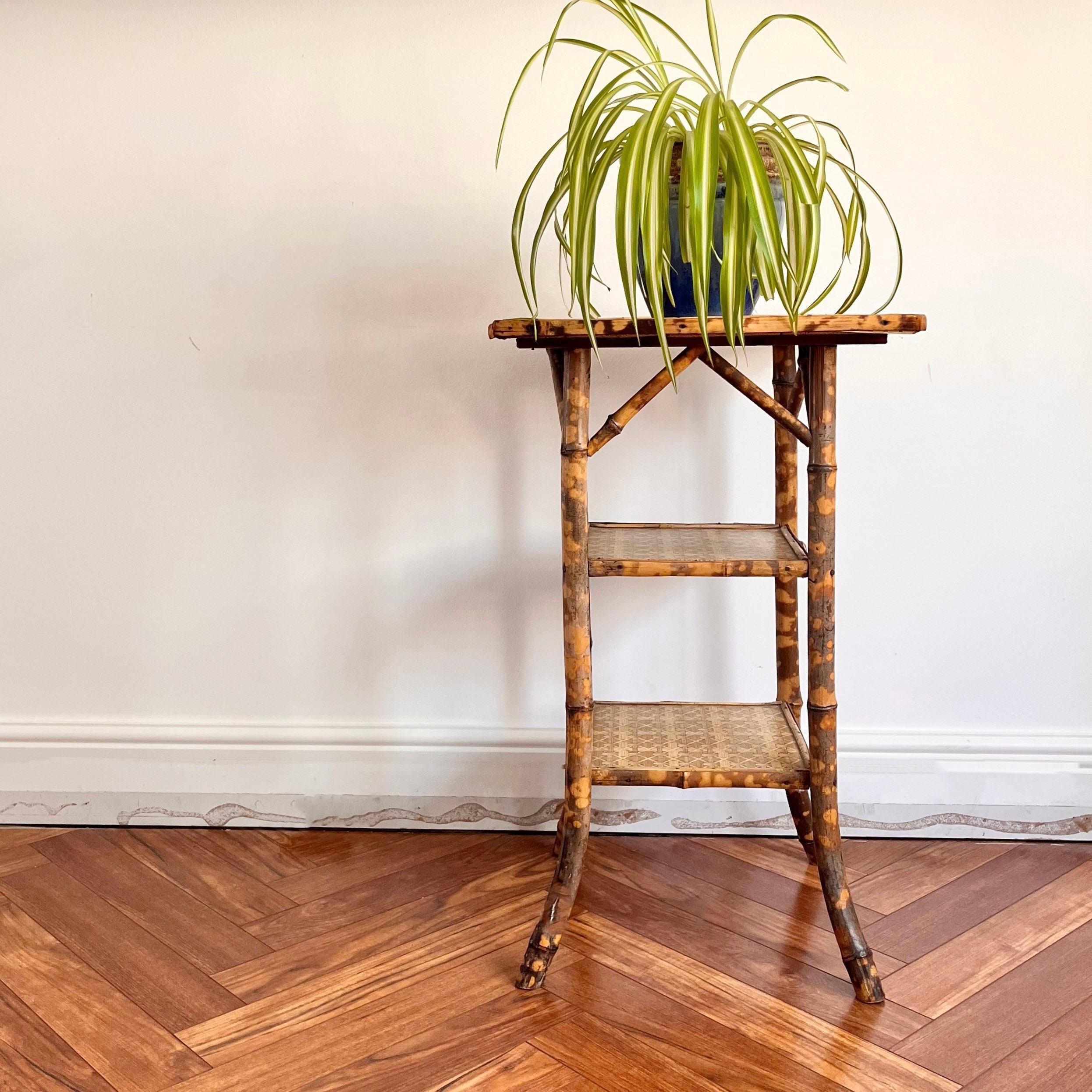 Antique Tiger Bamboo Three Tier Plant Stand/table. Etsy