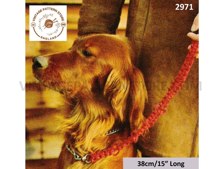 80s vintage easy to make beginners macrame pet dog leash lead pdf macrame pattern 15" Long Instant PDF download 2971