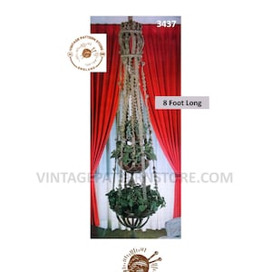 May include: A macrame plant hanger with a brown rope and a green plant inside. The hanger is 8 feet long and is hanging from a ceiling in front of a red curtain. The image includes the text "VINTAGE PATTERN STORE" and "3437".