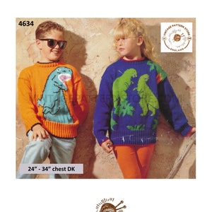 Girls top dinosaur jumper