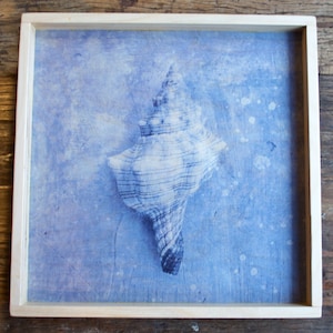 Wood Serving Tray, Blue Seashell Art Print, Nautical Art, Wood Ottoman Tray, Hostess Gift, Serveware, Coastal Decor, Decorative Serving Tray