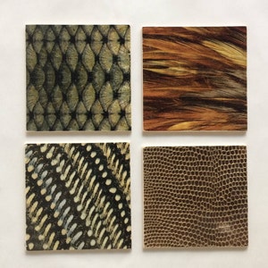 Animal Pattern Wooden Coasters, Bird Feather Coasters, Feathers, Drink Coasters, Housewarming Gift, Hostess Gifts, Eco-friendly