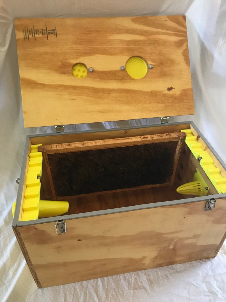 DIY Bee Vacuum Bee Vac Pest Control Beekeeping Swarm | Etsy