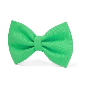 DOG BOW TIE Spearmint Green Bow Purr-fect Cat Bow Tie Ideal for weddings and everyday walk image 1