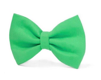 DOG BOW TIE | Spearmint Green Bow |  Purr-fect Cat Bow Tie | Ideal for weddings and everyday walk