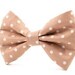 see more listings in the Classic Collection Bows section