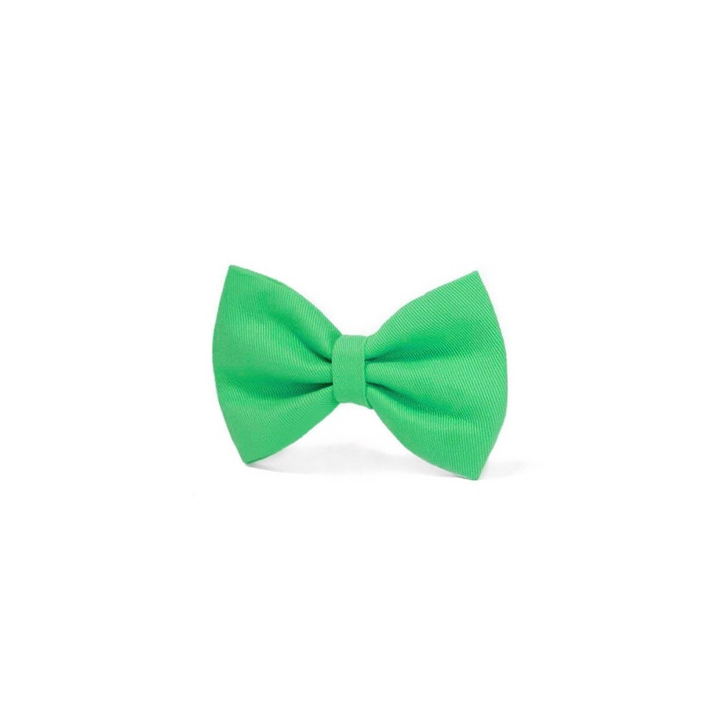 DOG BOW TIE Spearmint Green Bow Purr-fect Cat Bow Tie Ideal for weddings and everyday walk image 1