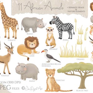 African Safari Animals Clip Art Collection | 29 Elements | PNG / JPEG ...