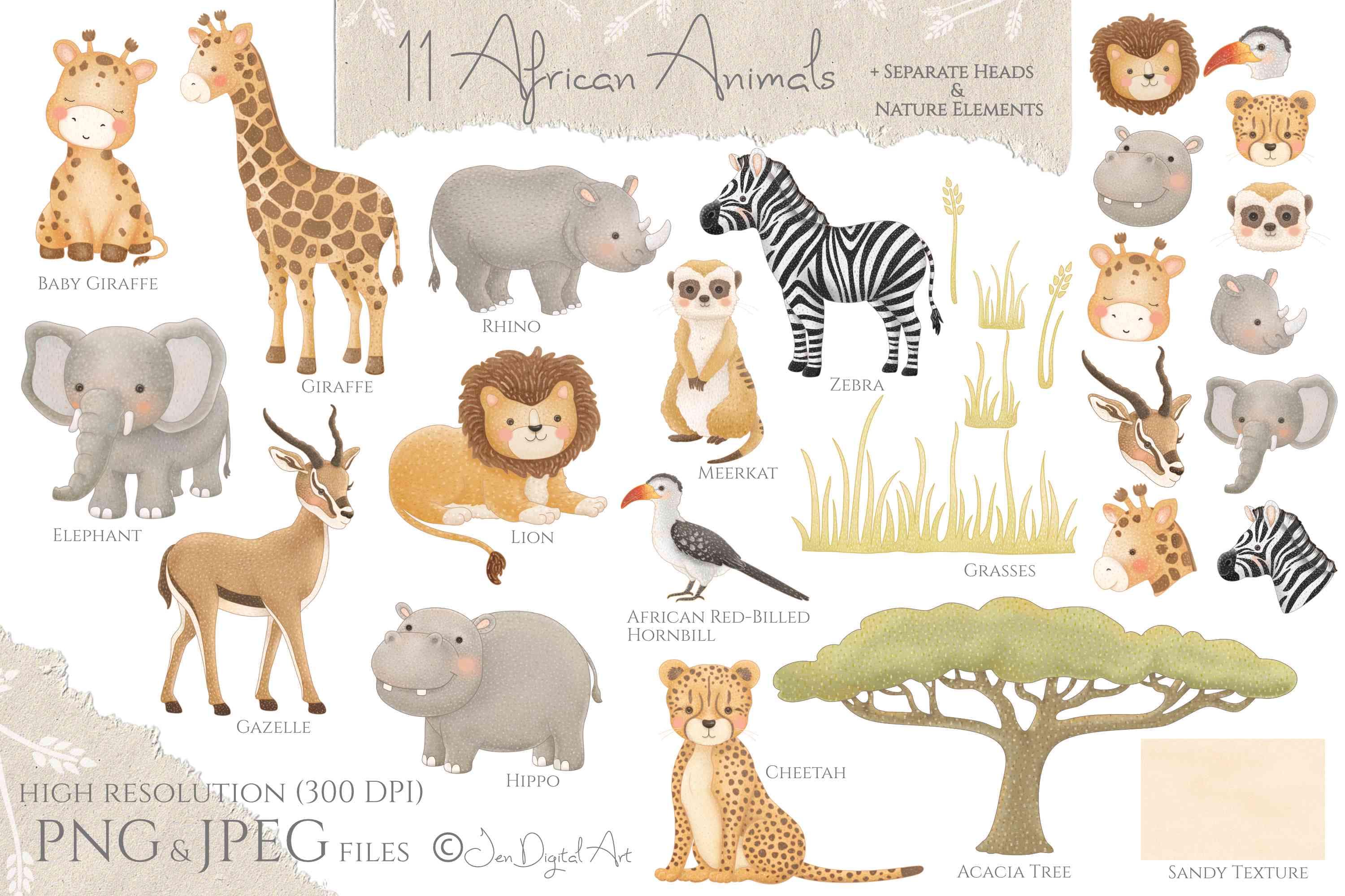 African Safari Animals Clip Art Collection | 29 Elements | PNG / JPEG ...