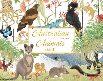 Australian Animals Clip Art Vol 3: Wildlife & Seamless Patterns (PNG/JPEG)