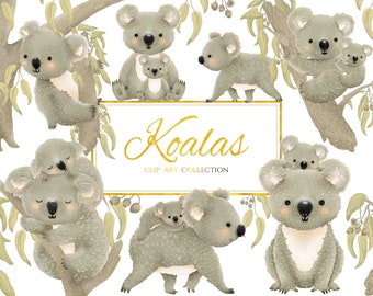 Puede incluir: Un conjunto de lindas ilustraciones de koala en clipart. Los koalas están dibujados en un estilo de dibujos animados con colores suaves y apagados. Algunos de los koalas sostienen bebés. El texto "Koalas Clip Art Collection" está escrito en letras doradas sobre un fondo blanco.