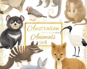Australian Animals Clip Art Vol 2: Dingo, Quokka, Possum (PNG/JPEG)