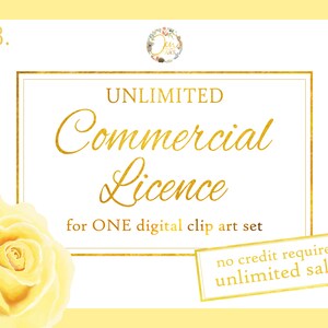 1 x UNLIMITED Commercial Licence for ONE set of digital graphics (unlimited sales)