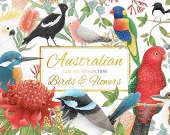 Colección de imágenes prediseñadas de aves y flores australianas / 27 elementos / Archivos PNG / JPEG / Imágenes prediseñadas australianas