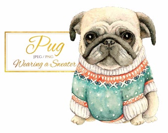 Watercolor Pug Clipart | Cute Dog in Sweater (PNG/JPEG)