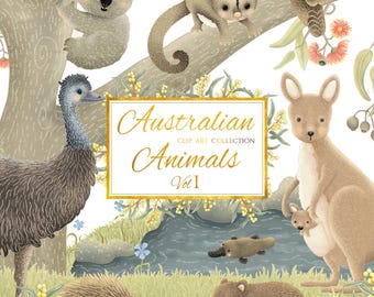 Australian Animals Clip Art Vol 1: Koala, Kangaroo, Emu (PNG/JPEG)