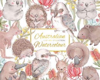 Australian Watercolour Animals Clip Art Collection | 28 Elements | PNG / JPEG Files | Australian Animal Clipart