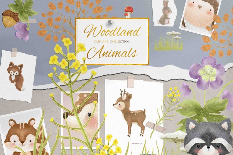 Woodland Animals Clip Art Collection 29 Elements PNG / JPEG Files
