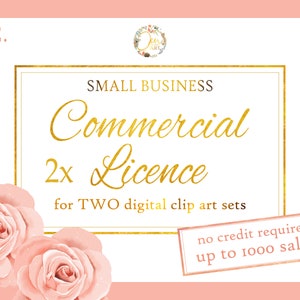 2 x Commercial Licences for TWO sets of digital graphics (up to 1000 sales each set)