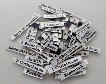 Word Magnets: Bible Books 151 pieces Expansion Pack (Catholic)