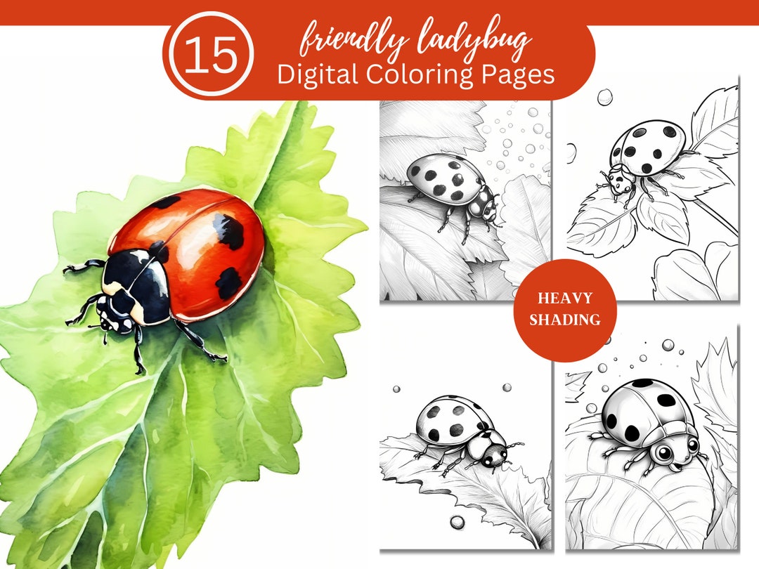 Ladybugs Coloring Book/15 Coloring Pages to Relax and Unwind, Clear