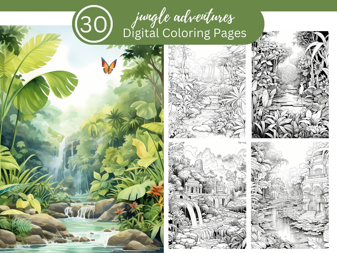 Libro para colorear de aventuras en la jungla divertido para todos/30 ...