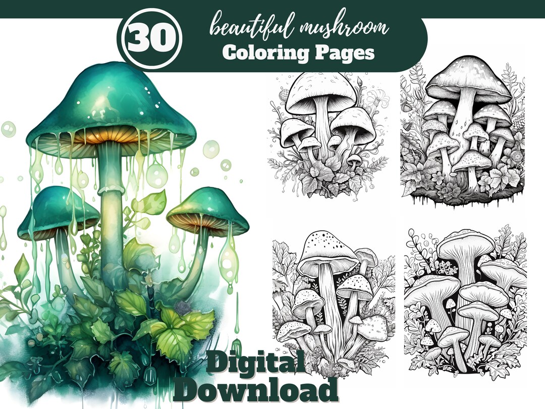 Beautiful Mushroom Adult Coloring Book/set of 30 Coloring - Etsy