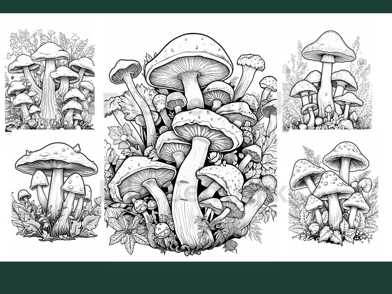 Beautiful Mushroom Adult Coloring Book/set of 30 Coloring - Etsy
