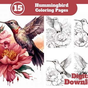 Hummingbirds Coloring Book for Adults and Kids for Relaxing (8.5x8.5): A  Large Collection of Various Stylized Hummingbirds from Realistic  Hummingbird