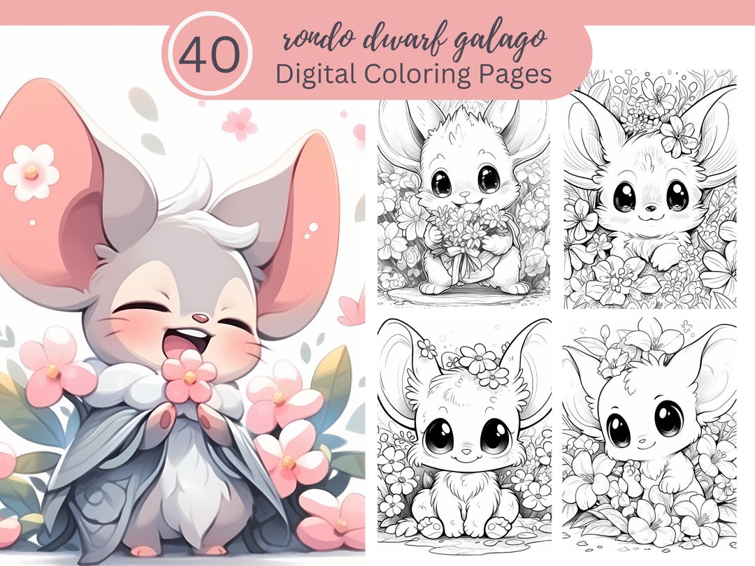 Rondo Dwarf Galago Coloring Book Fun for All/40 Coloring Pages to Relax