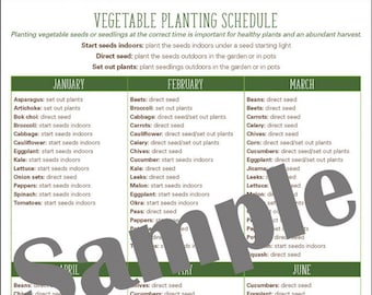 Zone 9 Vegetable Garden Planting Schedule