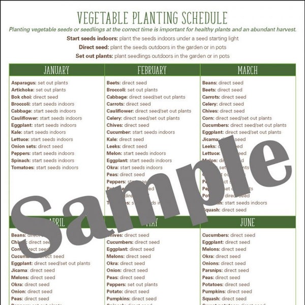 Zone 10 Vegetable Garden Planting Schedule