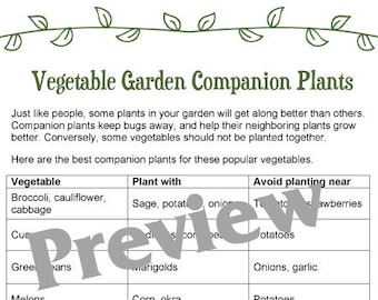 Vegetable Garden Companion Plants Printable