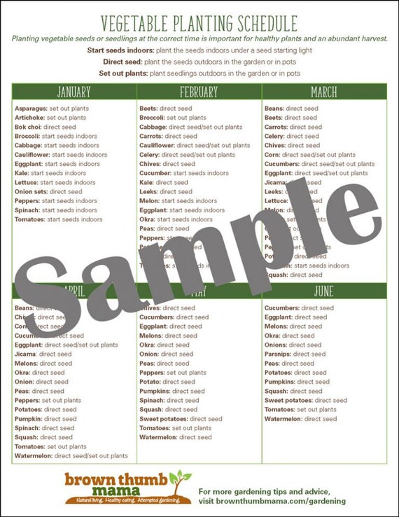 Zone 10 Vegetable Garden Planting Schedule Etsy
